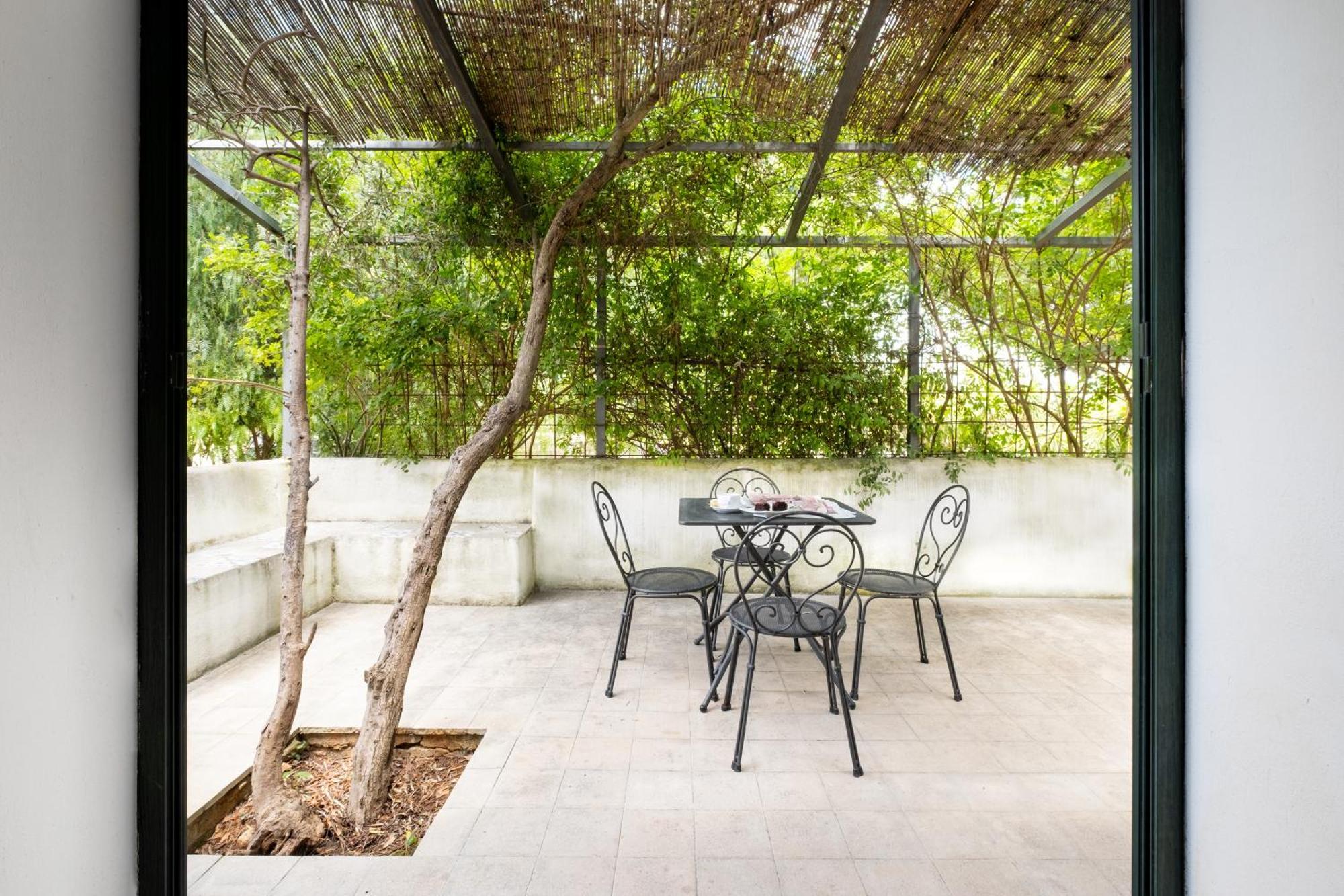 Apartment Terrace