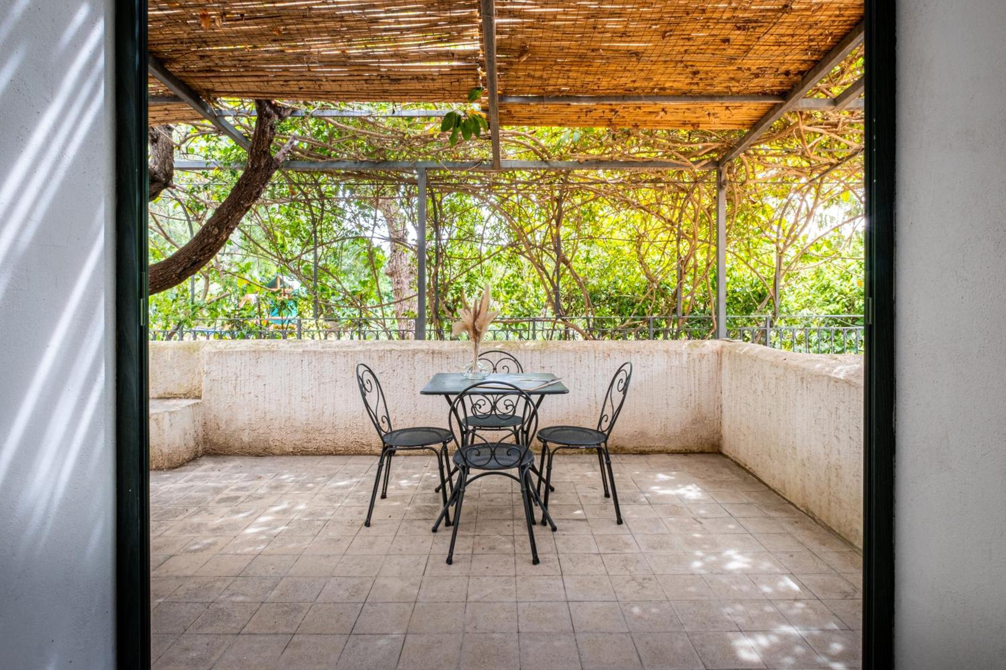 Apartment Terrace
