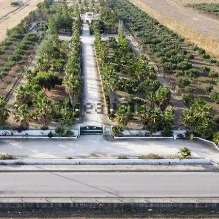 Villa delle Palme Delfina - parking Piscina a 10 minuti dal centro e dal mare-2